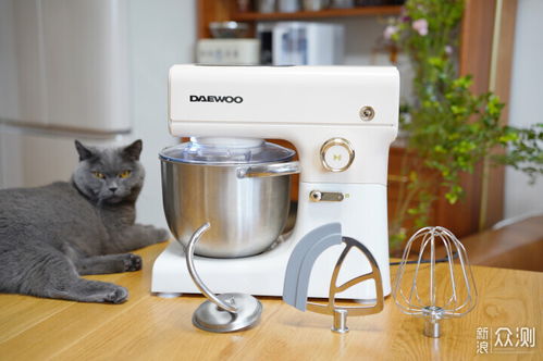 这5件家电用了半年，每次想起都觉得超值