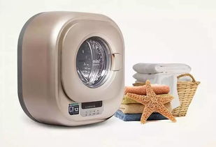 那些能悄悄点亮生活的小家电